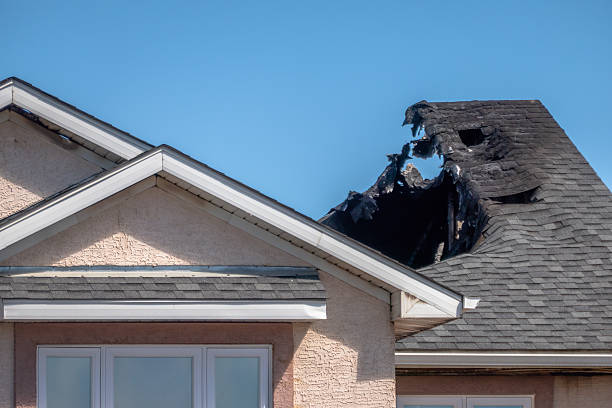 Top rated local Smoke Odor Removal specialists in Seminole, TX